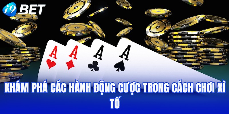 Khám phá các hành động cược trong cách chơi Xì tố